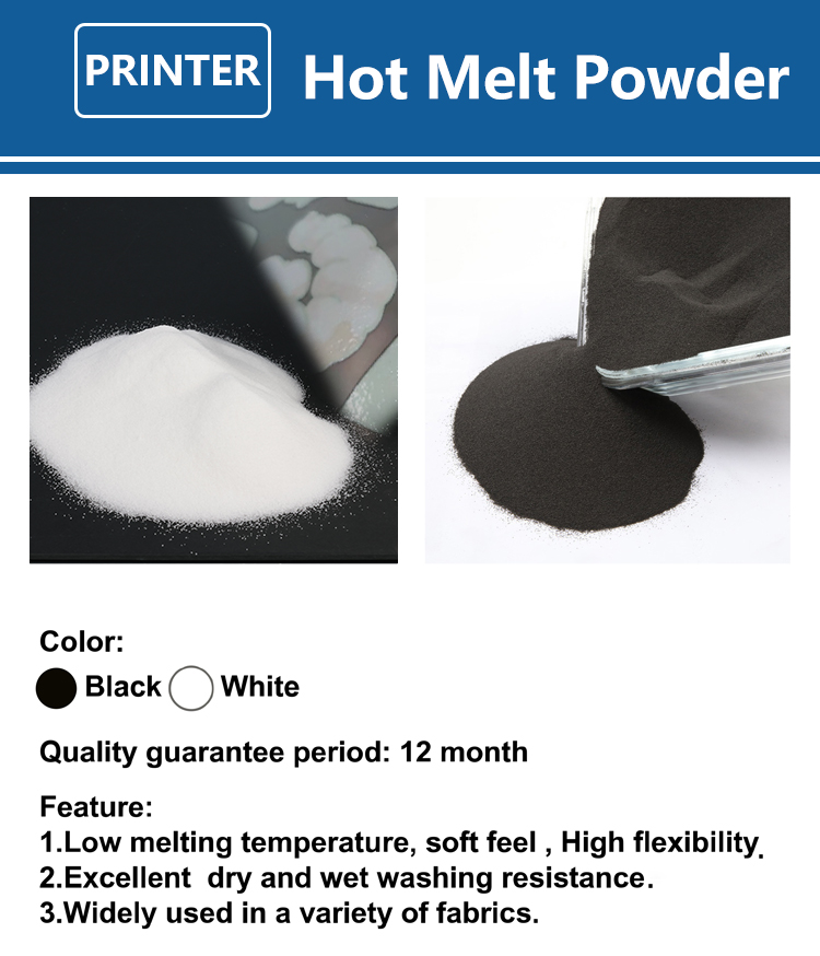 1000g 1kg DTF Powder Fine Powd - Commercial Fabric Printing Machine recension och pris